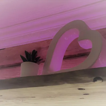 Renthouse Guest Alice Daire