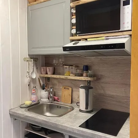 Renthouse Guest Alice *