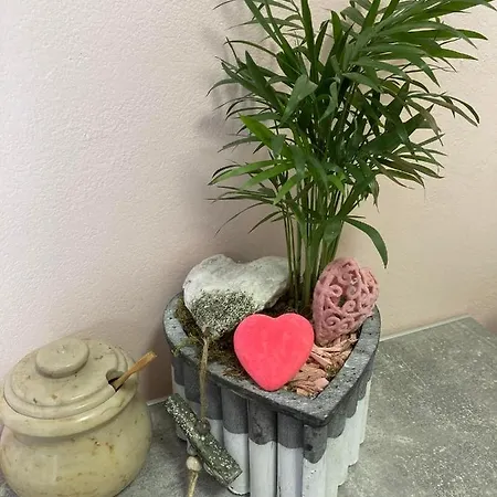 Renthouse Guest Alice Apartman