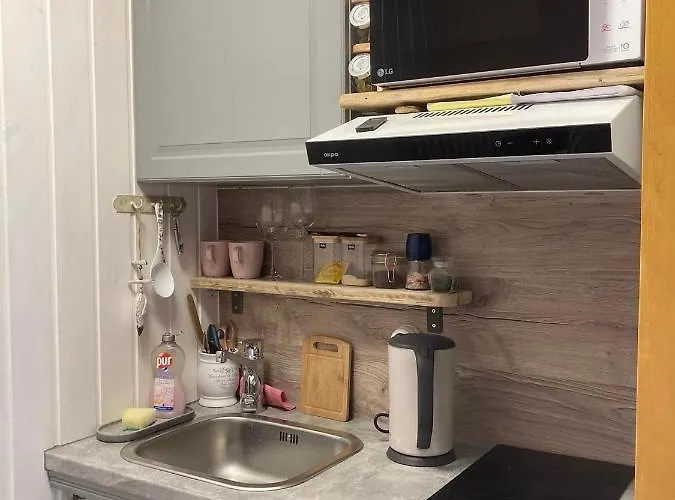 Renthouse Guest Alice *